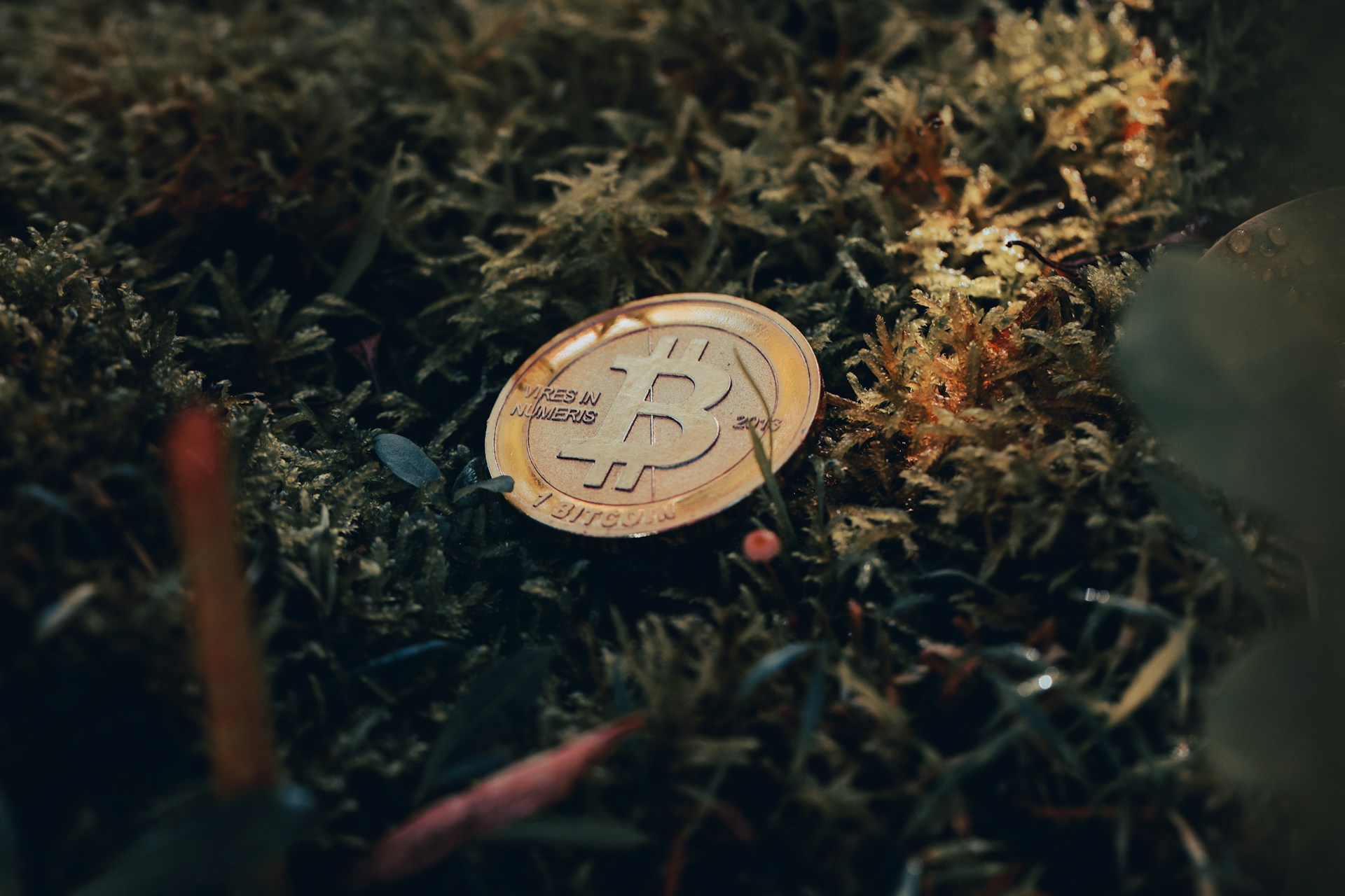 Bitcoin et ESG : Adam Back est-il l'inventeur du Bitcoin durable ?